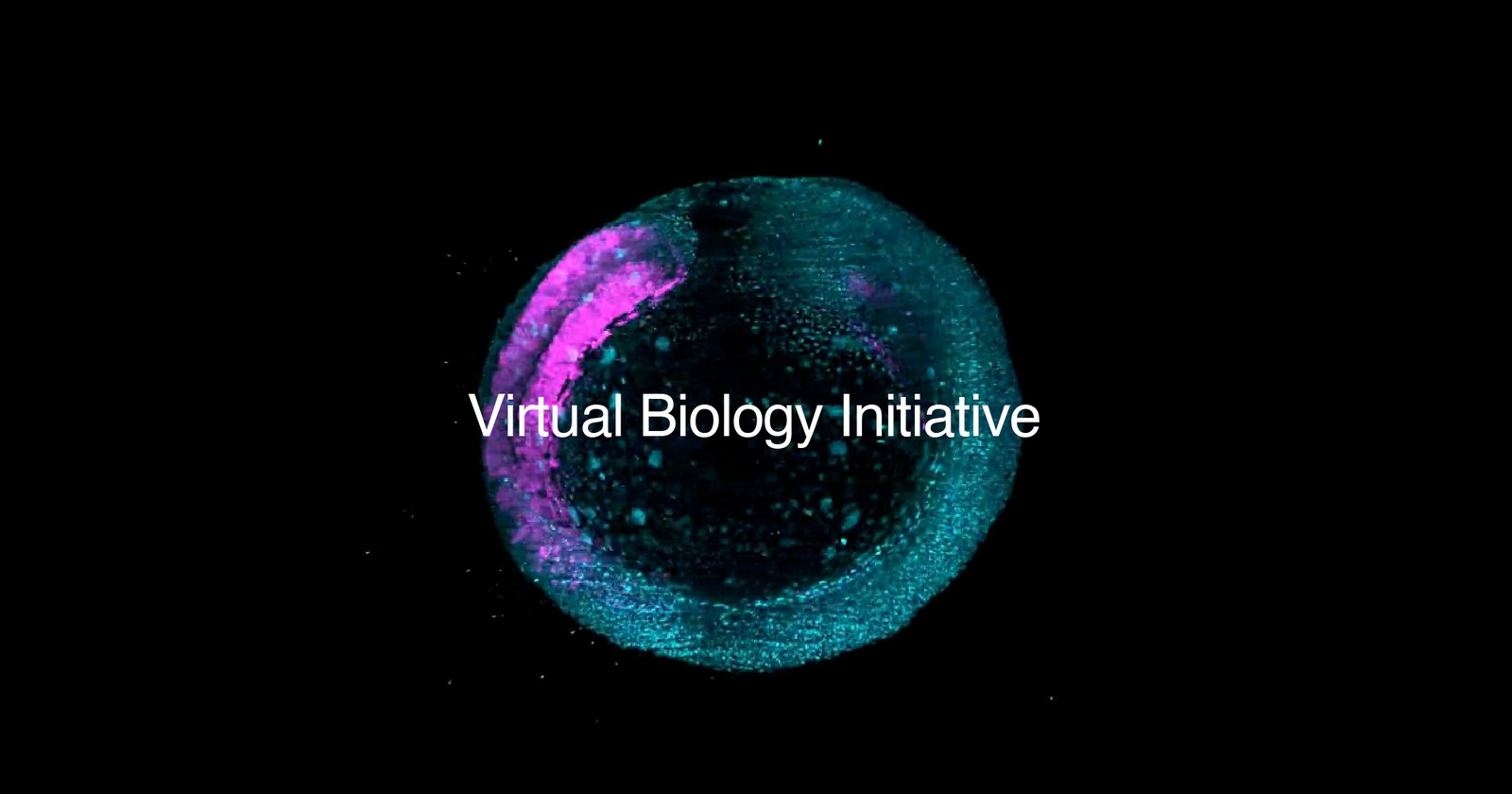 虚拟生物学计划